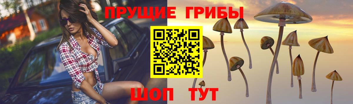 наркота  Вход с VPN  Будённовск  Галлюциногенные грибы мицелий 